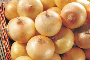Yellow Onion