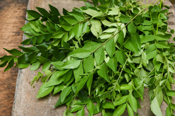 Curry leaves