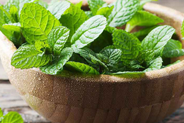 Mint leaves