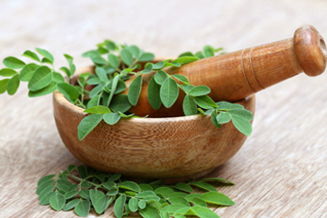 Moringa