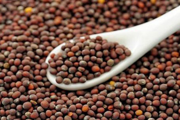 Mustard Seeds