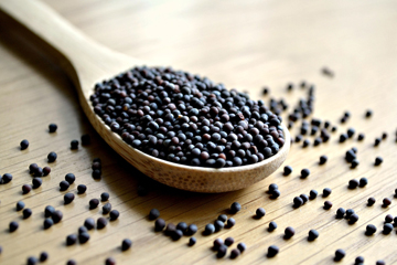 Black Mustard Seeds