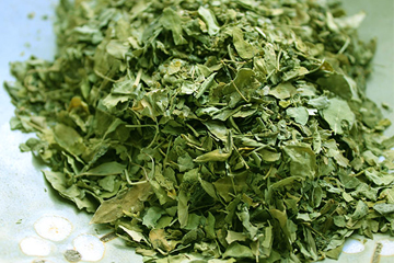 Dry Coriander Leaves